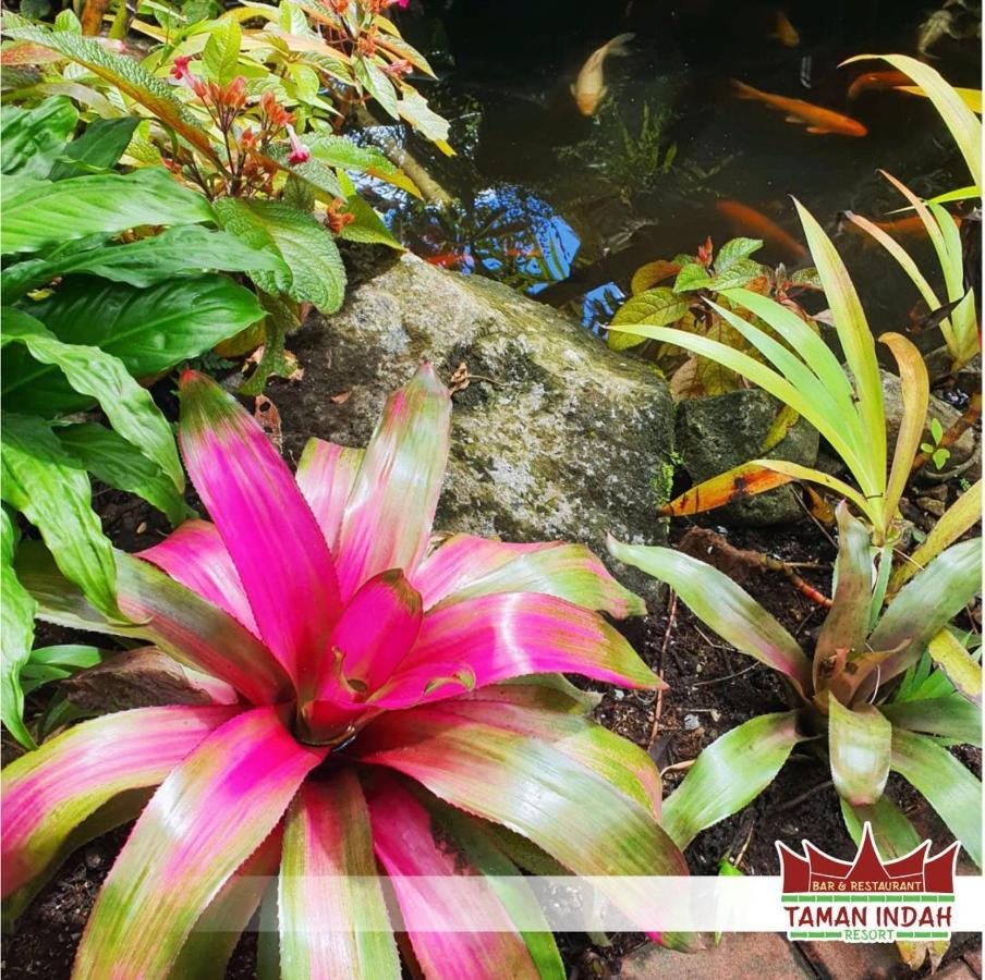 Taman Indah Resort Tamanredjo Экстерьер фото