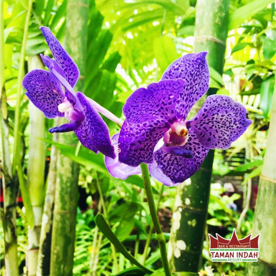 Taman Indah Resort Tamanredjo Экстерьер фото
